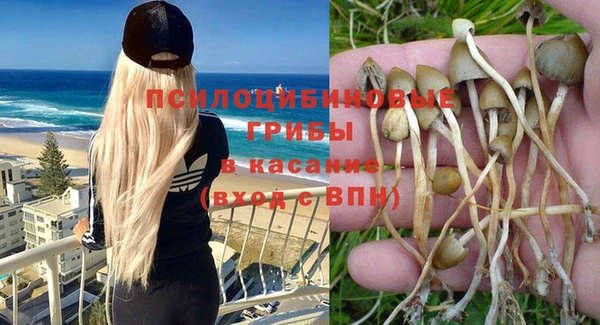 гашиш Арсеньев