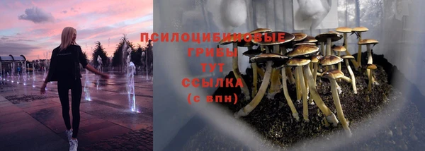 каннабис Баксан