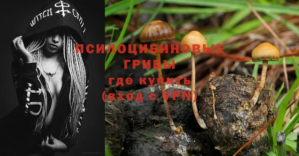гидропоника Армянск