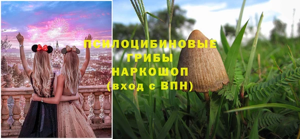 стафф Аркадак