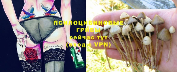 гидропоника Армянск